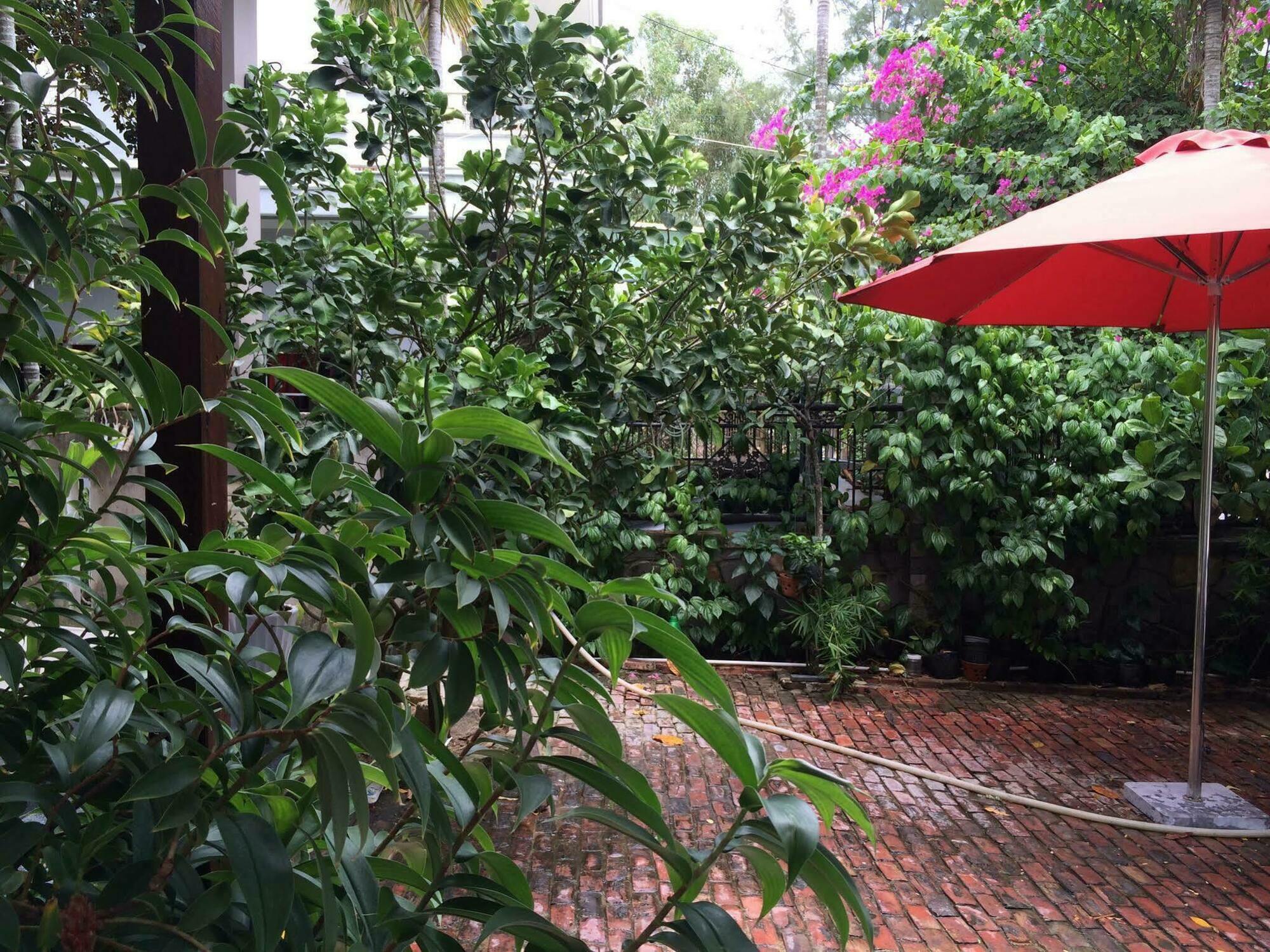 Mama'S House Hoi An Homestay Eksteriør bilde